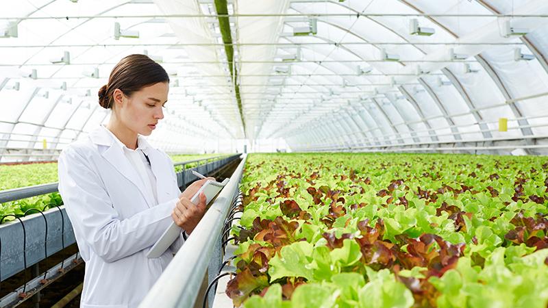 Vaisala Greenhouse Webinar