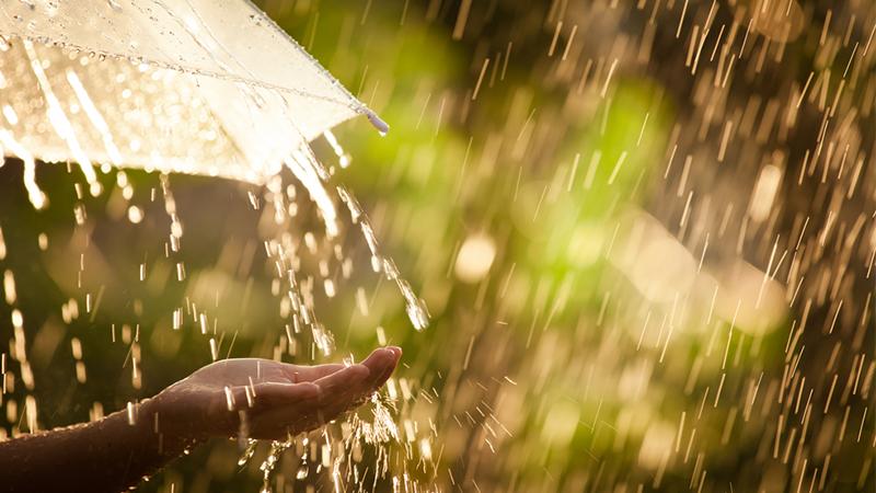 Woman hand with umbrella in the rain in green nature background