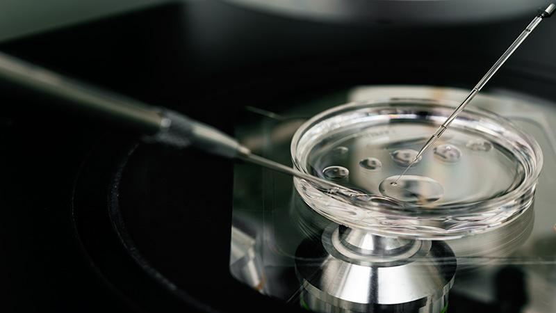 microscope for in vitro fertilization process close up. . Equipment on laboratory of Fertilization, IVF