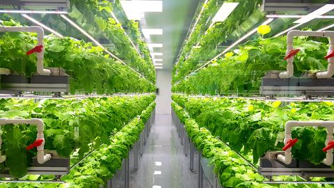 Installation agricole verticale