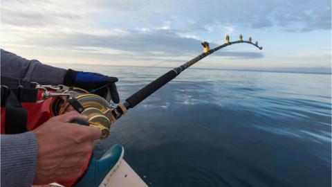 Man Fishing