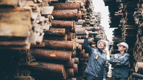 Conditions de séchage optimales du bois dans la scierie de Korkeakoski