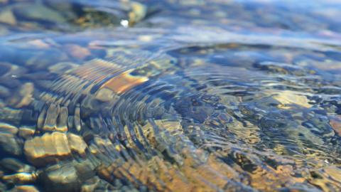 The Pärnu River Basin Pilot Project
