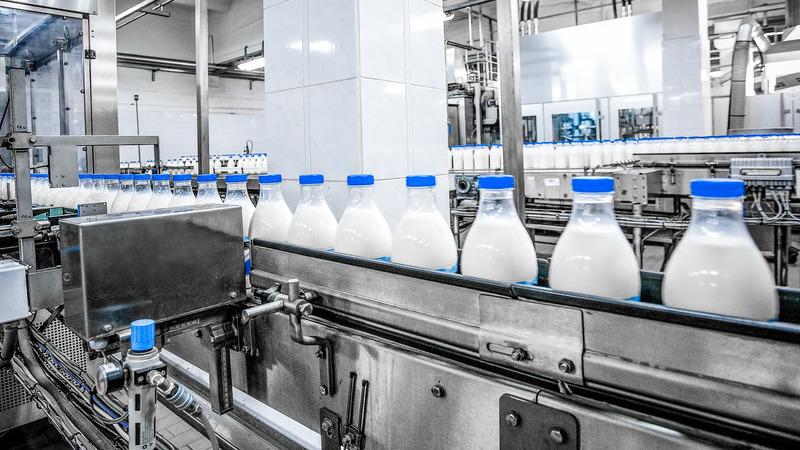 Dairy production line