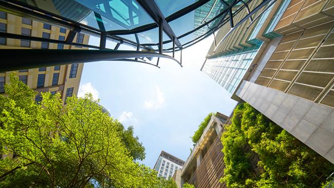 Green city