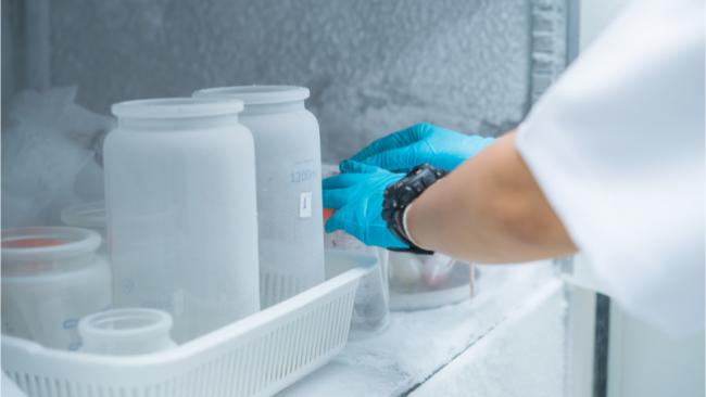 Pharmaceuticals in refrigerator
