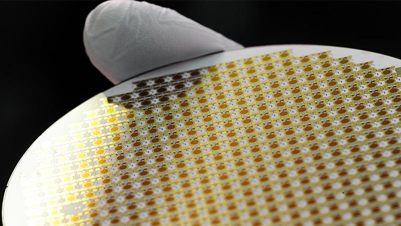 Wafer in hand