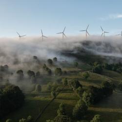 Wind turbines on a foggy field